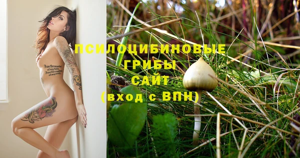индика Абинск