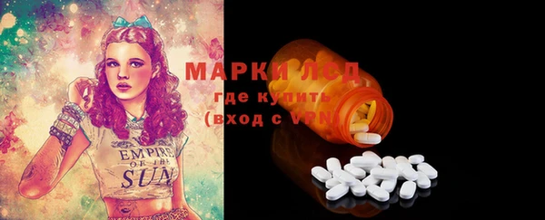 индика Абинск