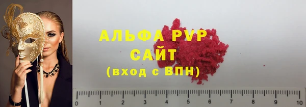 индика Рославль