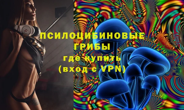 кокс Абаза